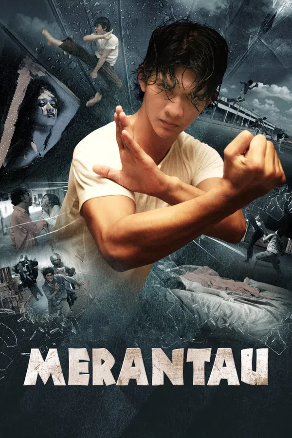 Poster phim Chiến Binh Merantau trên PhimMoi