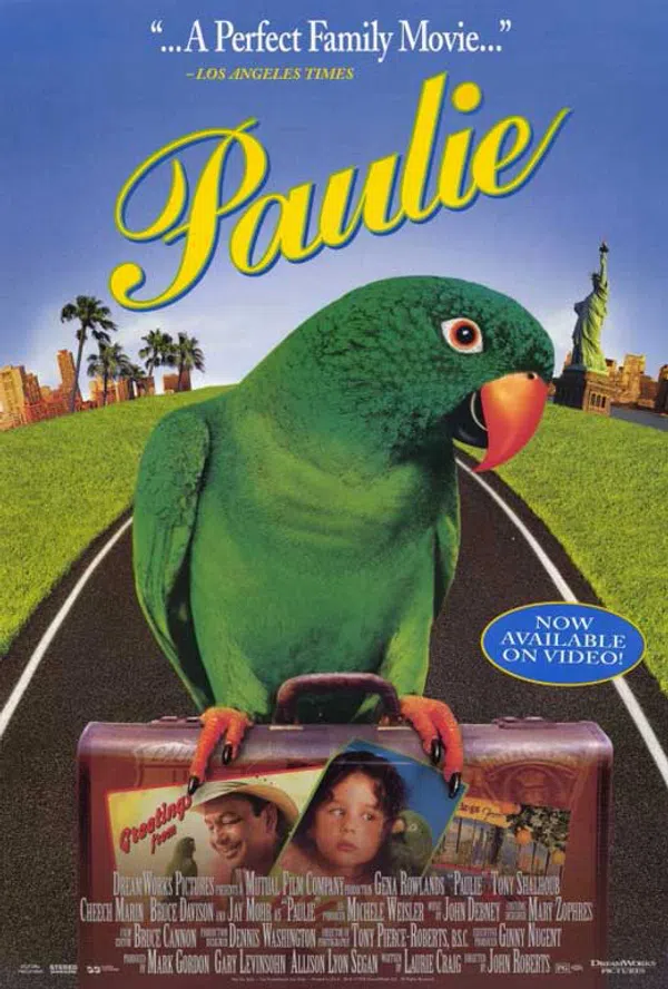 Poster phim Chú Vẹt Paulie trên PhimMoi