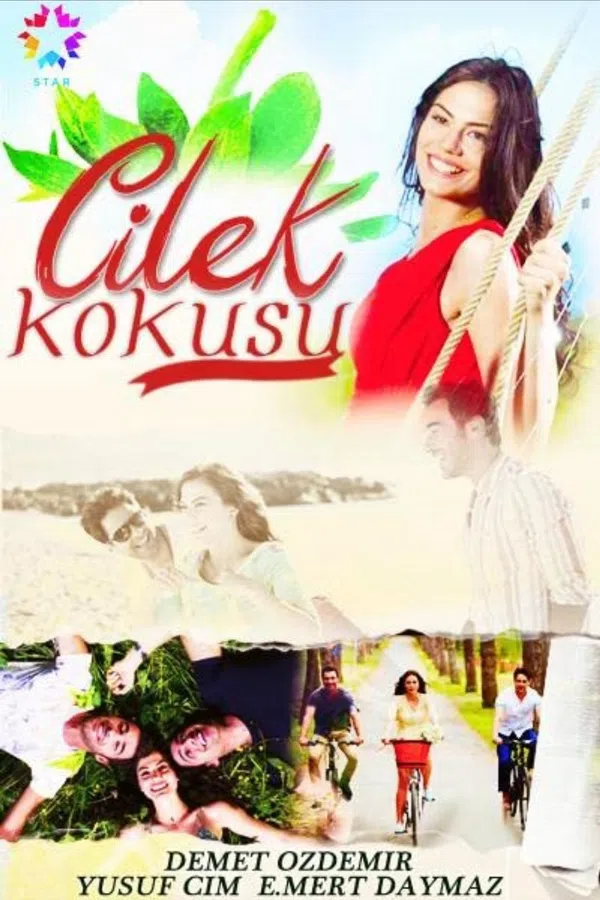 Poster phim Cilek Kokusu trên PhimMoi