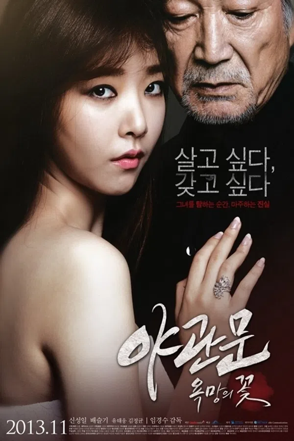 Poster phim Door To The Night trên PhimMoi