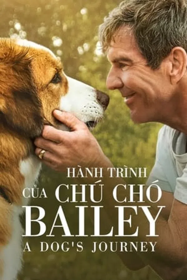 Poster phim Hành Trình Của Chú Chó Bailey trên PhimMoi