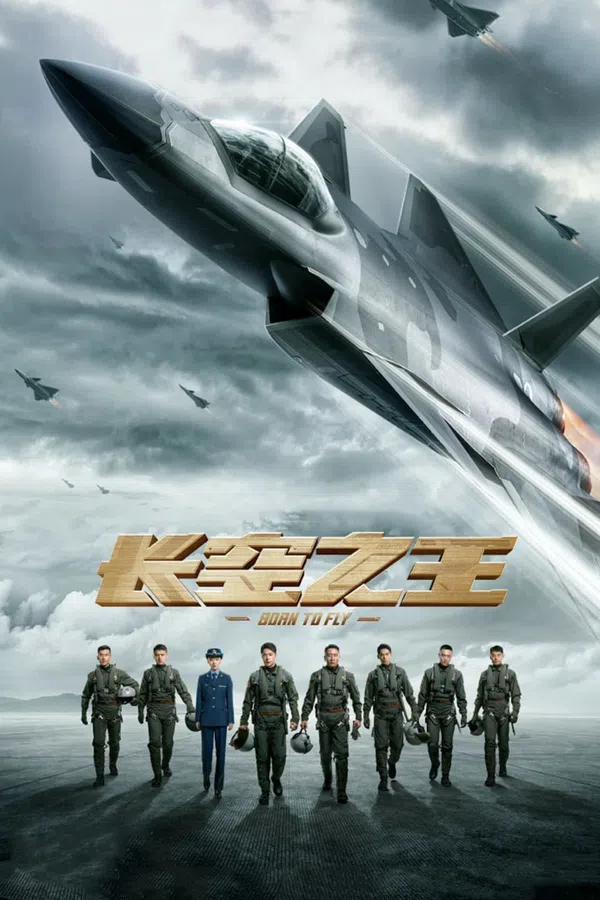 Poster phim Trường Không Chi Vương trên PhimMoi